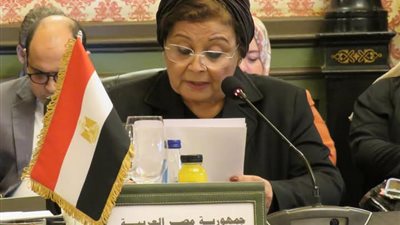 مصر تدعو إلى تعزيز التعاون العربي في تداول بيانات المغتربين