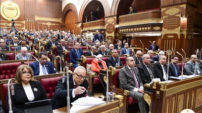 مجلس الشيوخ يوافق على مشروعي قانونين مقدمين من الحكومة (تفاصيل)