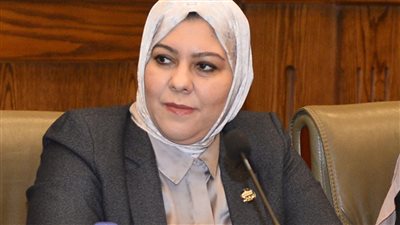 برلمانية: رفع أسماء 716 شخصا من قوائم الكيانات الإرهابية يعزز من تطبيق الاستراتيجية الوطنية