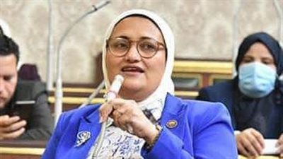 أول تحرك برلماني تجاه لمعاناة ذوي الإعاقة للحصول على حقوقهم بالصحة والتعليم والإسكان