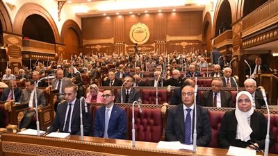 موعد الجلسة الافتتاحية لمجلس الشيوخ بعد تعيين الـ100 عضو