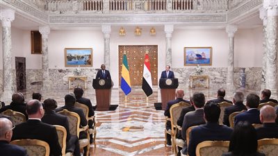 السيسي: اتفقت مع رئيس الجابون على استمرار جهود الدولتين فى إرساء الأمن والاستقرار