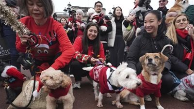  مسيرة كلابية ببلوفرات أمام قصر باكنجهام بإنجلترا