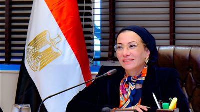 وزيرة البيئة تعلن تعيين الدكتور خالد فهمي مديرا تنفيذيا لـ «سيداري»