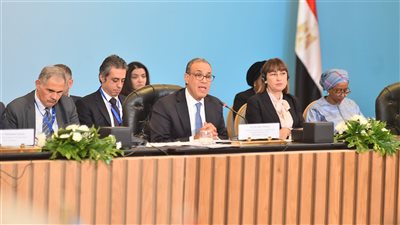 وزير الخارجية: العدوان الإسرائيلي على قطاع غزة فاق كل الحدود