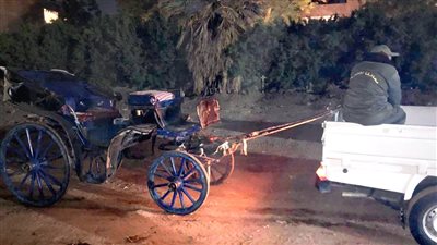 «مدينة الأقصر» تشن حملة لضبط عربات الحنطور غير المرخصة (صور)