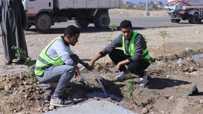 مستقبل وطن يطلق مبادرة لزراعة 100 شجرة بقري ونجوع الأقصر