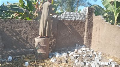 مواصلة حملات إزالة التعديات على الأراضي الزراعية بالأقصر