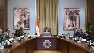 مدبولي: تنفيذ مزاد لبيع السمك ببحيرة قارون بعد توقف 9 سنوات