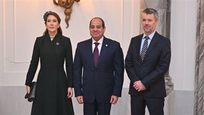 بالتفاصيل.. الرئيس السيسي يلتقي ملك الدنمارك 