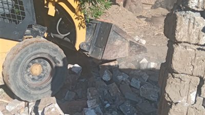 إزالة حالتي تعد فى المهد خلال حملة في الأقصر (صور)