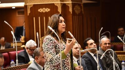 وزيرة التنمية المحلية تشارك في الجلسة العامة لمجلس الشيوخ (تفاصيل)