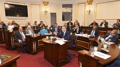 نقيب الأطباء أمام «الشيوخ»: 5 مطالب أساسية للنقابة لا بد أن يتضمنها مشروع «المسؤولية الطبية»