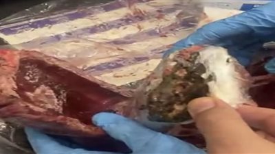 بالصور.. الداخلية تنجح في ضبط سيدة حاولت تهريب 