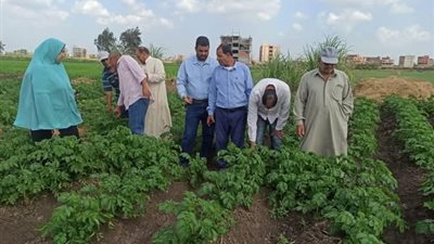«البحوث الزراعية» يستعرض حصاد أنشطة مبادرة المراكز الإرشادية خلال شهر نوفمبر 2024