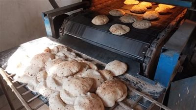 «تموين الأقصر» تضبط 83 مخالفة تموينية بمدينة أرمنت غرب المحافظة (صور)