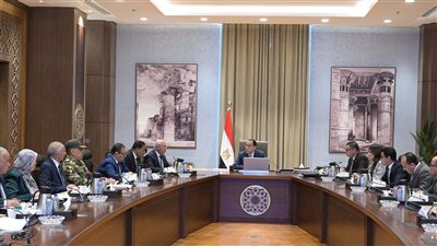 رئيس الوزراء يتابع الموقف التنفيذي لأعمال تطوير مدينة رأس الحكمة 
