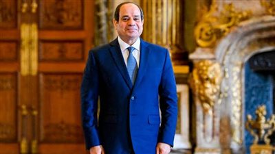 الرئيس السيسي: اتفقنا مع إندونيسيا على إنشاء منطقة لوجستية بقناة السويس