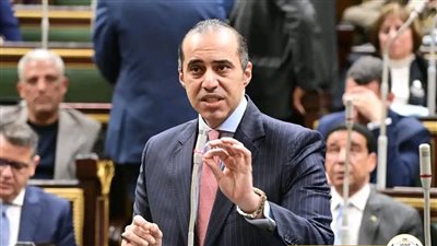 وزير الشئون النيابية: دستور 2014 أول دستور يقر الحق في التعويض عن الحبس الاحتياطي