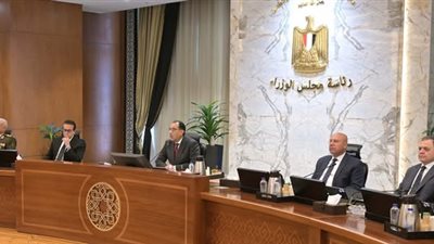 «مدبولي»: إعلان بدء الأعمال الهندسية بمشروع محطة «أبيدوس 2» للطاقة الشمسية 