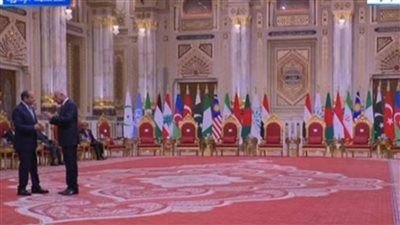 ننشر نص «إعلان القاهرة» بعد اعتماده فى قمة الدول الثماني النامية اليوم 