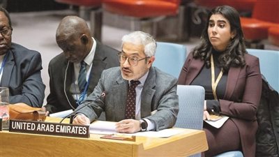 الإمارات تطالب بوقف فوري ودائم لإطلاق النار في السودان