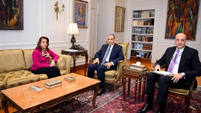 وزير الخارجية يؤكد أهمية الدور المصري في دعم قضايا القارة الإفريقية 