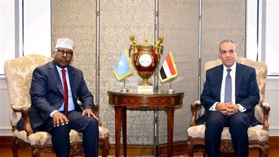 تفاصيل لقاء وزير الخارجية بنظيره الصومالي