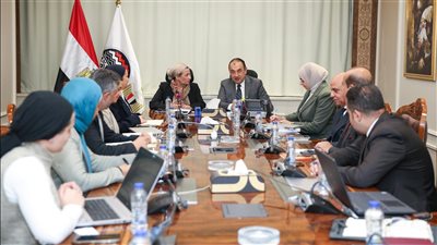 وزير قطاع الأعمال العام يبحث مع وزيرة البيئة تعزيز التعاون لتنشيط السياحة البيئية بمصر 