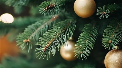 كيف جعلت الملكة فيكتوريا أشجار عيد الميلاد ترند عالمي مستمر كل عام؟