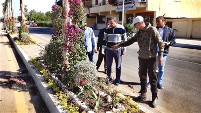 بالصور.. تكثيف أعمال زراعة المساحات الخضراء بالأقصر 