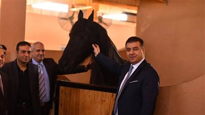تفاصيل جولة وزير الزراعة الأردني بمزرعة للخيول العربية الأصيلة بالشرقية 