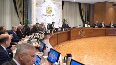 مدبولي: رفع كفاءة 123 ألف منزل ضمن المبادرة الرئاسية 