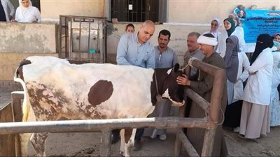 محافظ المنيا يستعرض جهود الطب البيطري لتعزيز الثروة الحيوانية والداجنة خلال 2024
