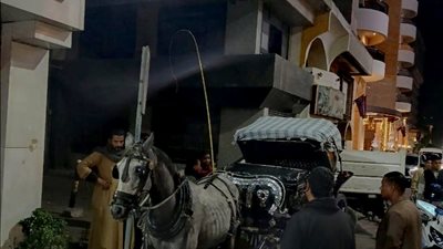 حملة بمدينة الأقصر تضبط 5 عربات حنطور مخالفة «صور»