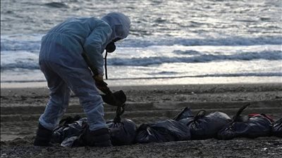 روسيا تزيل نحو 1500 طن نفط من السفينة الأجنحة العام الماضي 