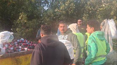 محمد مصطفى: تنفيذ حملات مكثفة لمكافحة نباشين القمامة بشوارع 6 أكتوبر