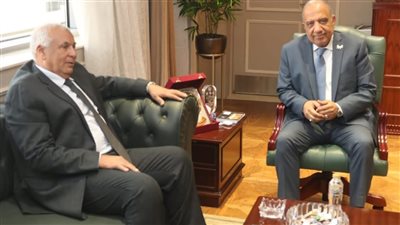 وزير الكهرباء يبحث مع محافظ الوادي الجديد التوسع بمشروعات الطاقة الشمسية بالمحافظة