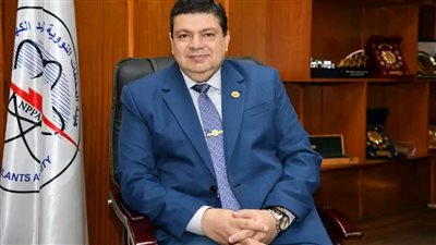 هيئة المحطات النووية: حصلنا على إذن تدشين منشأة تخزين الوقود لمحطة الضبعة