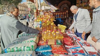 محافظ المنيا: ضبط 218 مخالفة خلال حملات تموينية مكبرة على الأسواق والمخابز