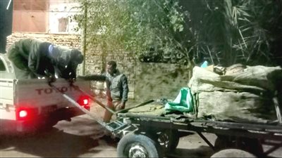 مصادرة عربات الكارو المستخدمة في نبش القمامة بمدينة الأقصر (صور)