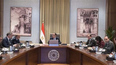 مدبولي يتابع جهود تأمين إمدادات الطاقة اللازمة لاستدامة تشغيل المحطات الكهربائية