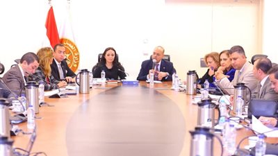 وزيرا التضامن والعمل يترأسان اجتماع اللجنة التشريعية المُختصة بإعداد 