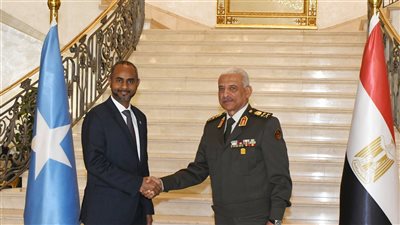 الفريق أول عبد المجيد صقر يلتقى وزير الدفاع الصومالى.. ملفات هامة على الطاولة