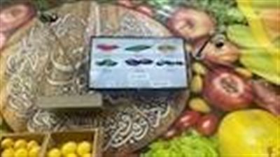 محافظ الدقهلية يعلن بدء عرض أسعار الخضروات آليًا في المنافذ