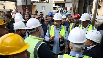 وزير قطاع الأعمال: خطة عاجلة لتطوير مصانع «الدلتا للأسمدة» وزيادة قدراتها الإنتاجية 