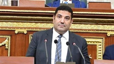 برلماني: تصريحات «السيسي» بالأكاديمية العسكرية تعزز الوحدة الوطنية 