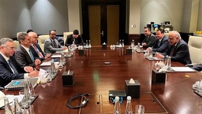 بالصور.. وزير الكهرباء ومدير عام الوكالة الدولية للطاقة المتجددة يناقشان سبل التعاون