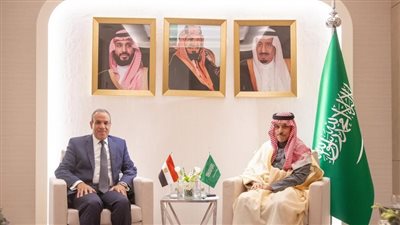 خلال لقائه بنظيره السعودي.. وزير الخارجية المصري يؤكد عمق العلاقات بين البلدين 
