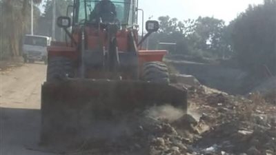 رفع 50 من المخلفات خلال حملة نظافة بمركز أرمنت بالأقصر (صور)